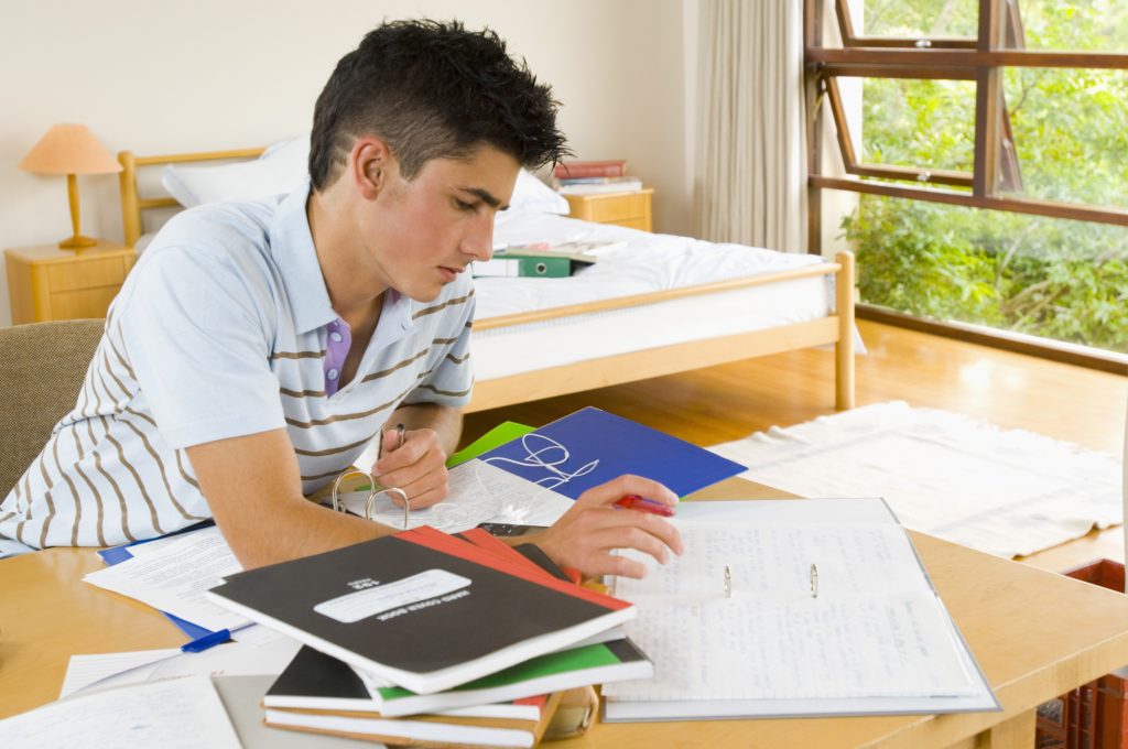 How to Prepare for the Calculus Course
