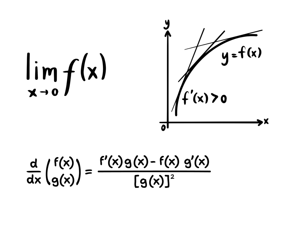 Essential Calculus Terms