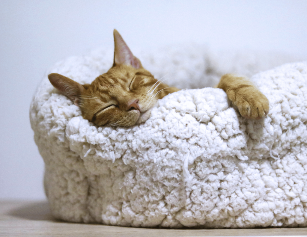 Sleep Optimization Routine: 15 Sleep Aids